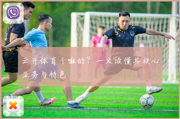 云开体育干嘛的？一文读懂其核心业务与特色