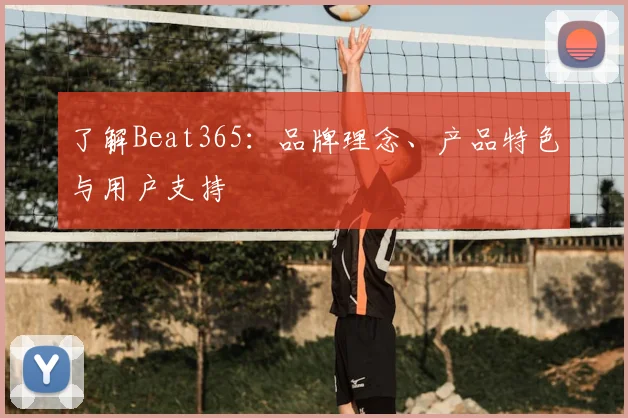 了解Beat365：品牌理念、产品特色与用户支持