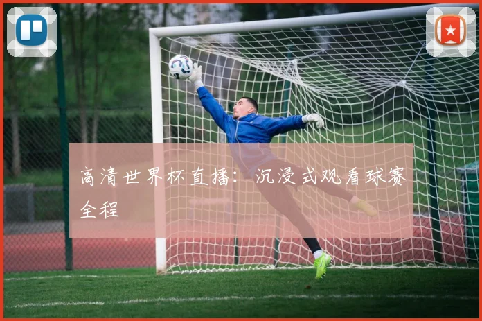 高清世界杯直播：沉浸式观看球赛全程