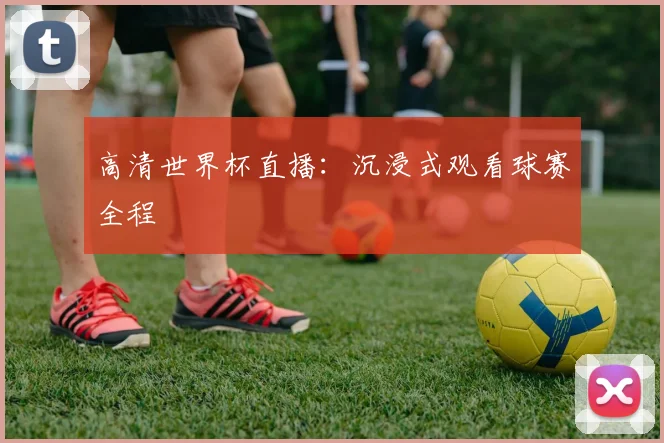 高清世界杯直播：沉浸式观看球赛全程