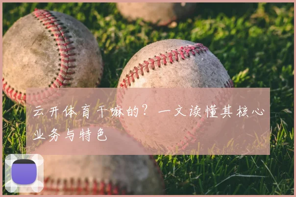 云开体育干嘛的？一文读懂其核心业务与特色