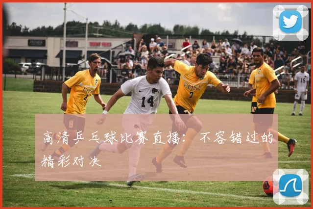 高清乒乓球比赛直播：不容错过的精彩对决